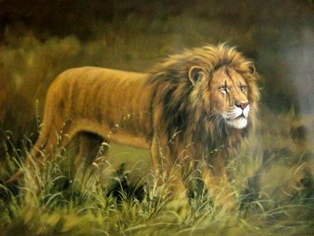 Tranh sơn dầu sư tử